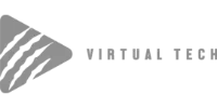 Visa icon